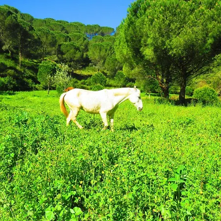 Charming House In With Shared Pool Casa vacanze